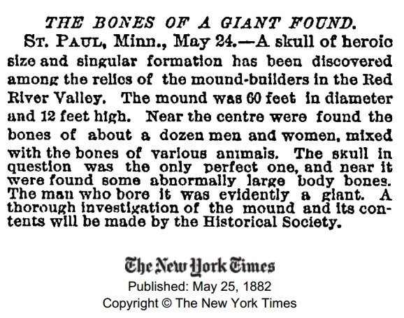 The New York Times article from May 25, 1882