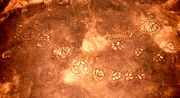 The enigmatic 'Stone Wheels': a prehistoric mystery