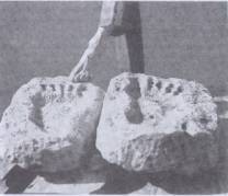 Fig. 2 Giant human foot prints.