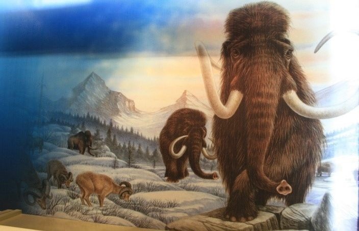 Mammoths and early humans