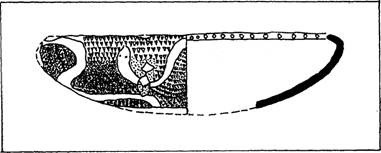 Fig. 1- An example of imported pottery with incised decorations.