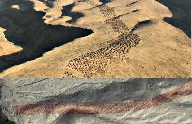 Thousands of strange holes dug into hard rock in Cajamarquilla, Peru.