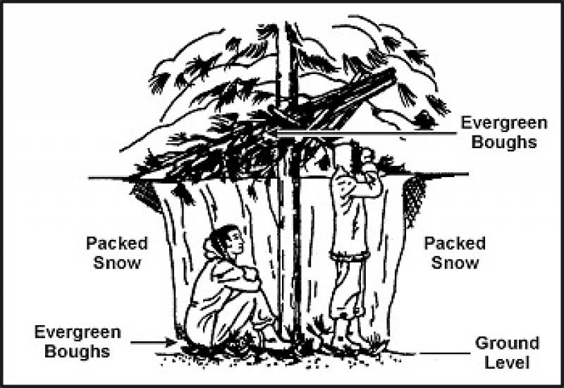 /* Figure 5-12. Tree-Pit Snow Shelter */