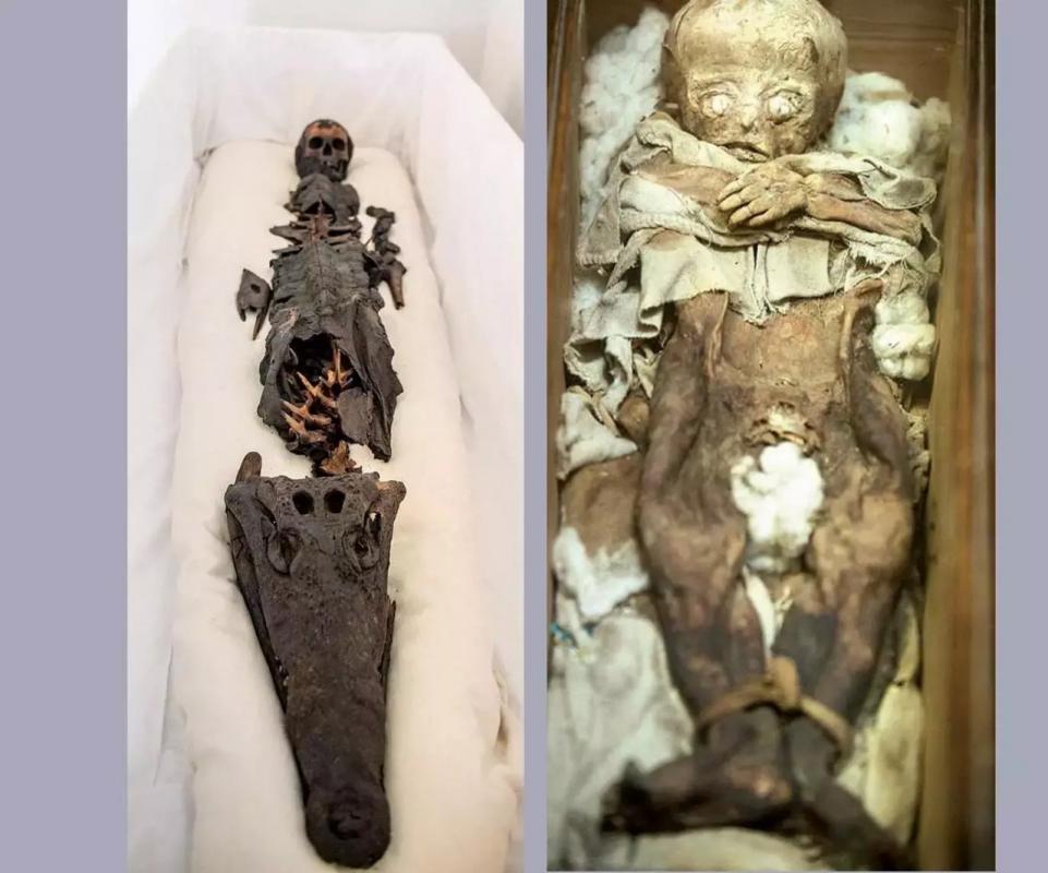 A two-headed mummy