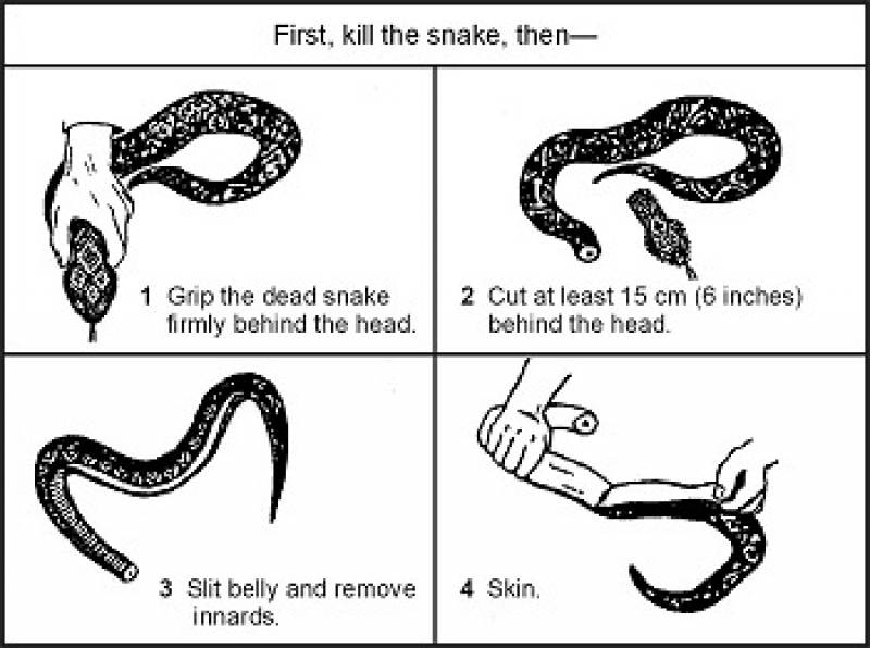 /* Figure 8-25. Cleaning a Snake */