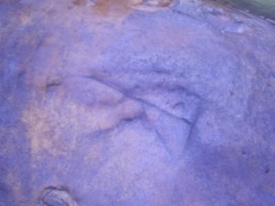 The petroglyphs, of Amazonian origin, found in the Inchipato River.