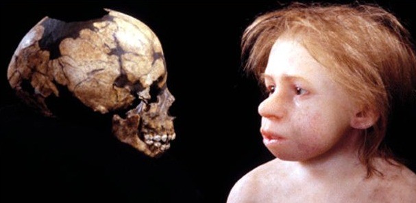 Neanderthal child