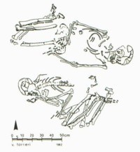 Fig.2: Mesolithic burials at Saggai (after Caneva)