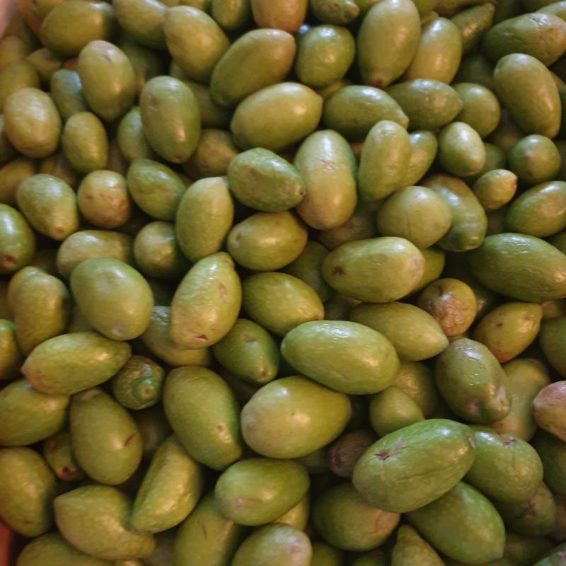 5 chili di olive da preparare :) buon 2022