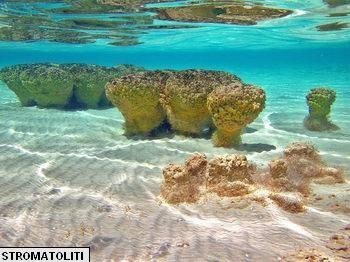 Stomatoliti