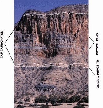 Figure showing Rocky cliffs along Namibia's Skeleton Coast.