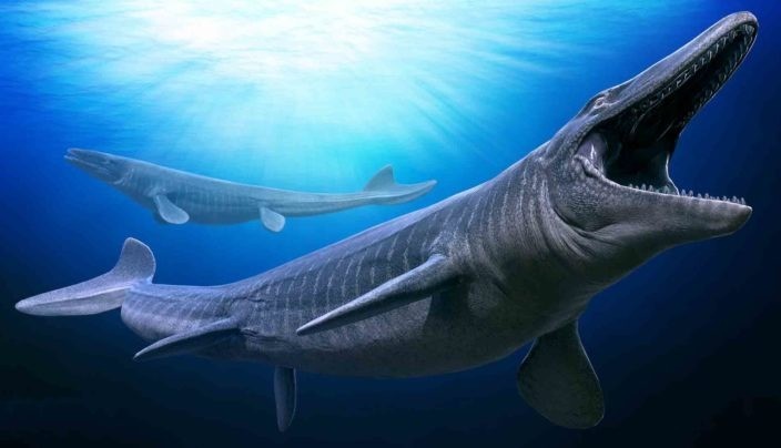 Mosasaur: Giant marine reptile predator in the Cretaceous seas and competitor of the Ichthyosaurus