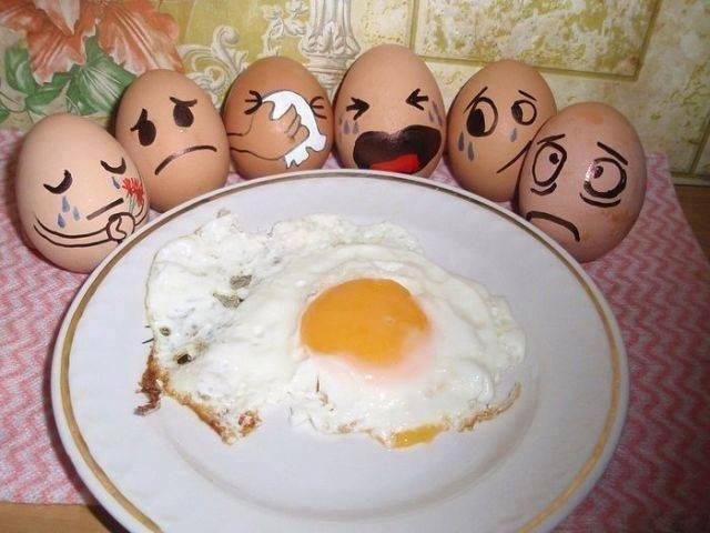 Funny picture: eggs.