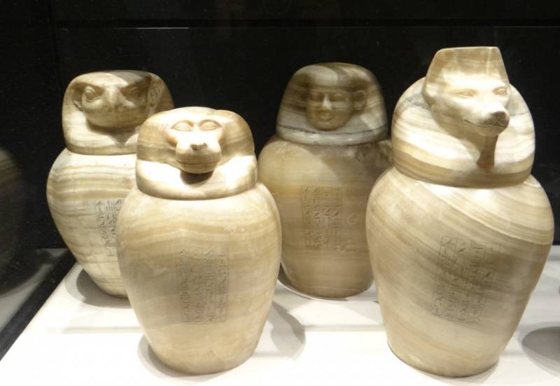 Egyptian's canope vases.