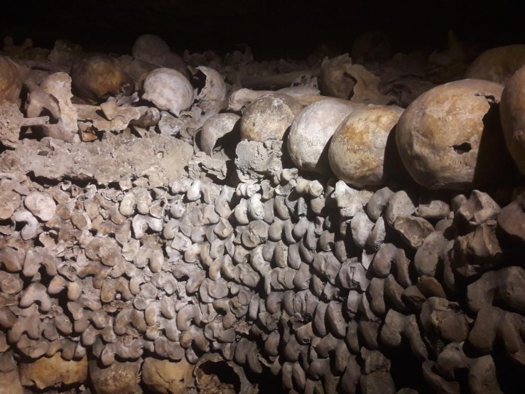 The Catacombs of Paris