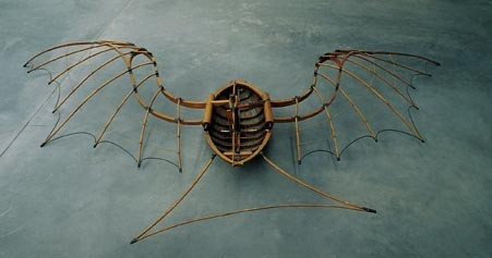 Flying Machine Luca The flying machine of Leonardo da Vinci • Neperos
