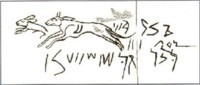 Graffito from Musawwarat (REM 1165) Wle qo phn 3 tltNetror-se-l-o « this dog was bought (???) three 
