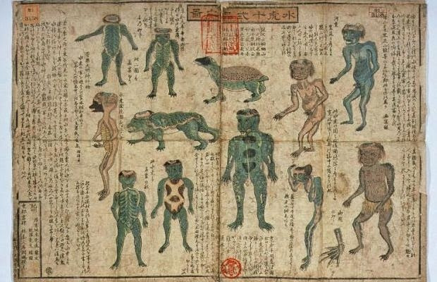 Mummified remains of a japanese mythological creature? Kappa, the water demon