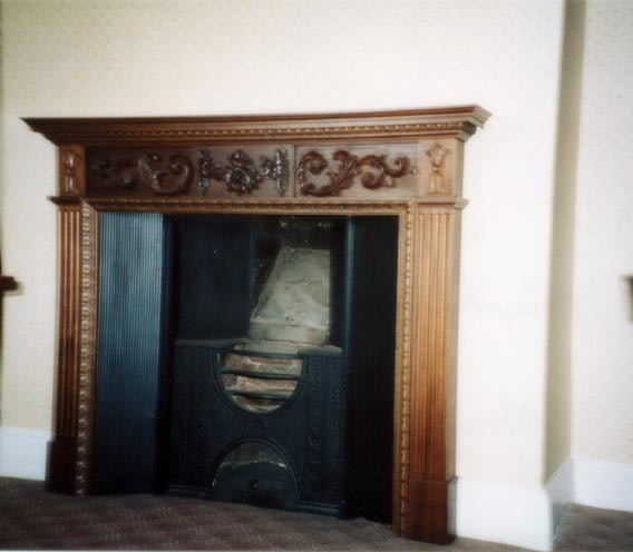 Fireplace in Darwin's Room