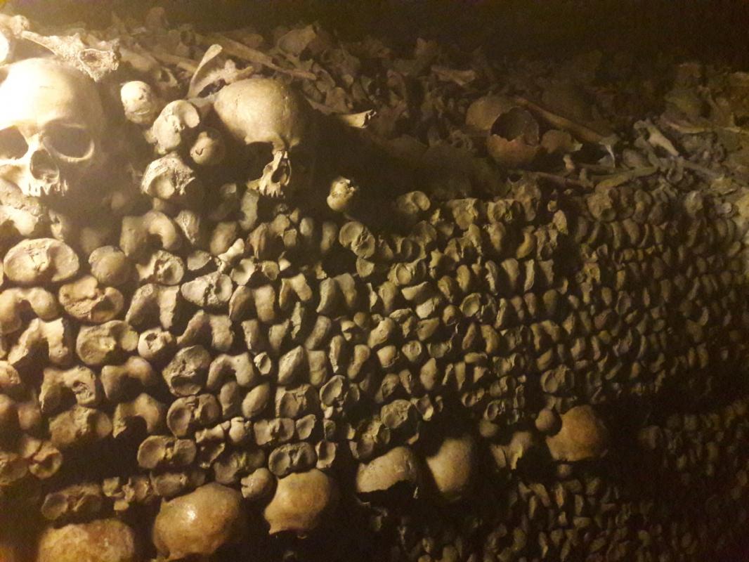 The Catacombs of Paris