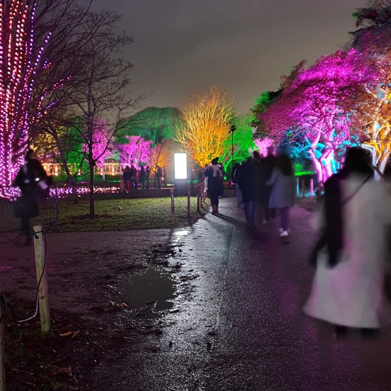 Christmas at Kew 2021 (London UK)