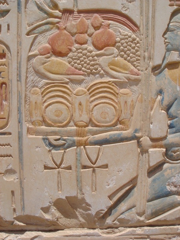 The Grape is easily recognizable among the offerings of the god Apis (Temple of Ramses II - Abydo - 